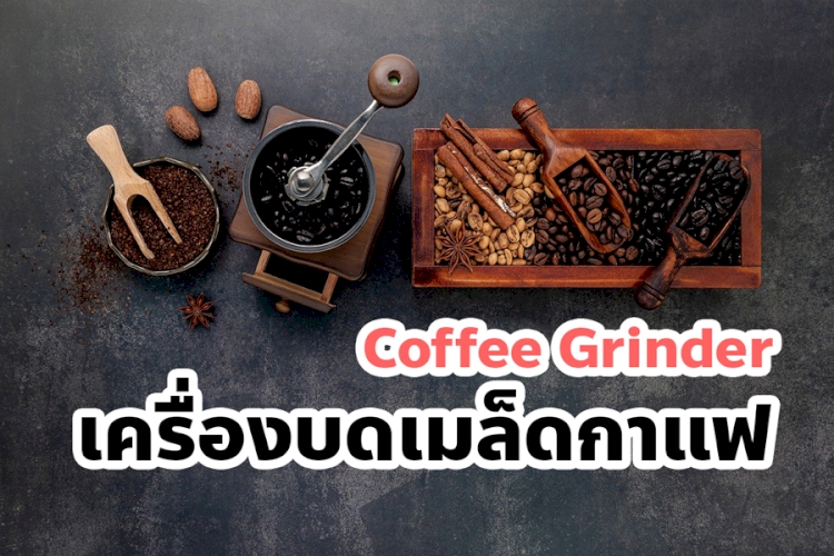 เครื่องบดเมล็ดกาแฟของดีจนต้องบอกต่อ ข้อมูลปี 2023