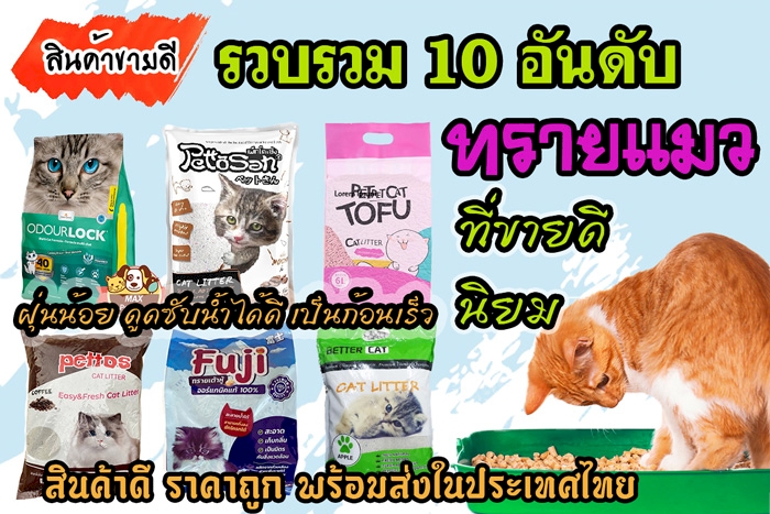 ☀️ ขายดี 10 อันดับ ทรายแมว ขายดี ที่นิยม คลิกเลย ข้อมูลปี 2023